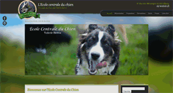Desktop Screenshot of dressageduchien.fr